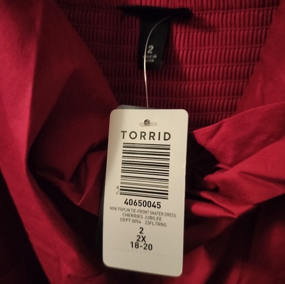 Raspberry Tank Dress (Torrid) - Picture 6 of 6
